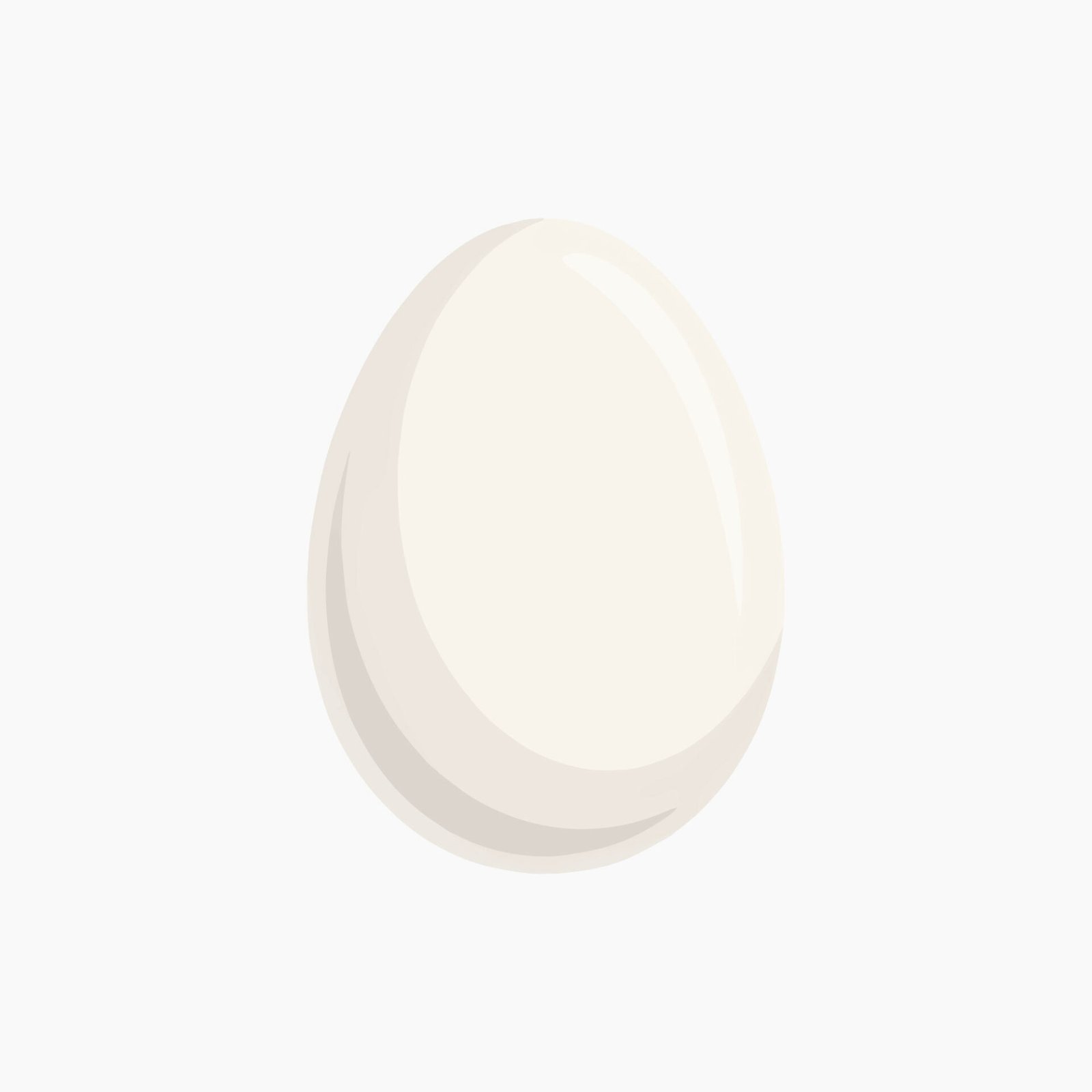 soft-white-chicken-egg-vector-illustration