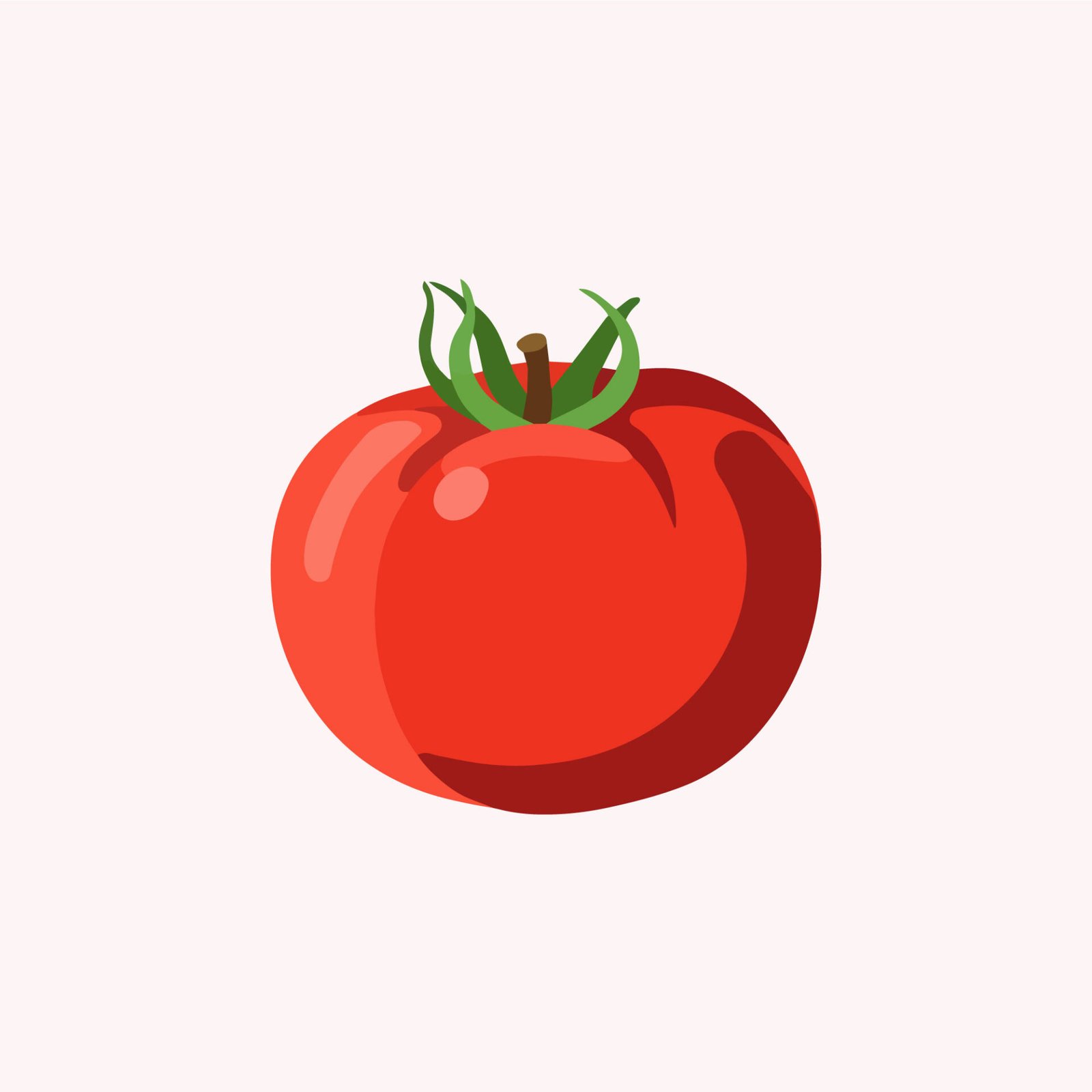 fresh-organic-red-tomato-vector-illustration-isolated
