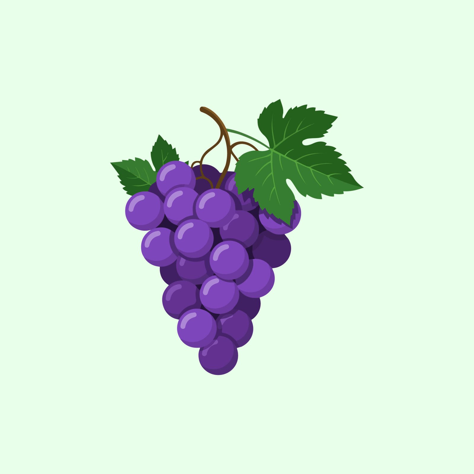 bunch-of-fresh-purple-grapes-vector-illustration-isolated