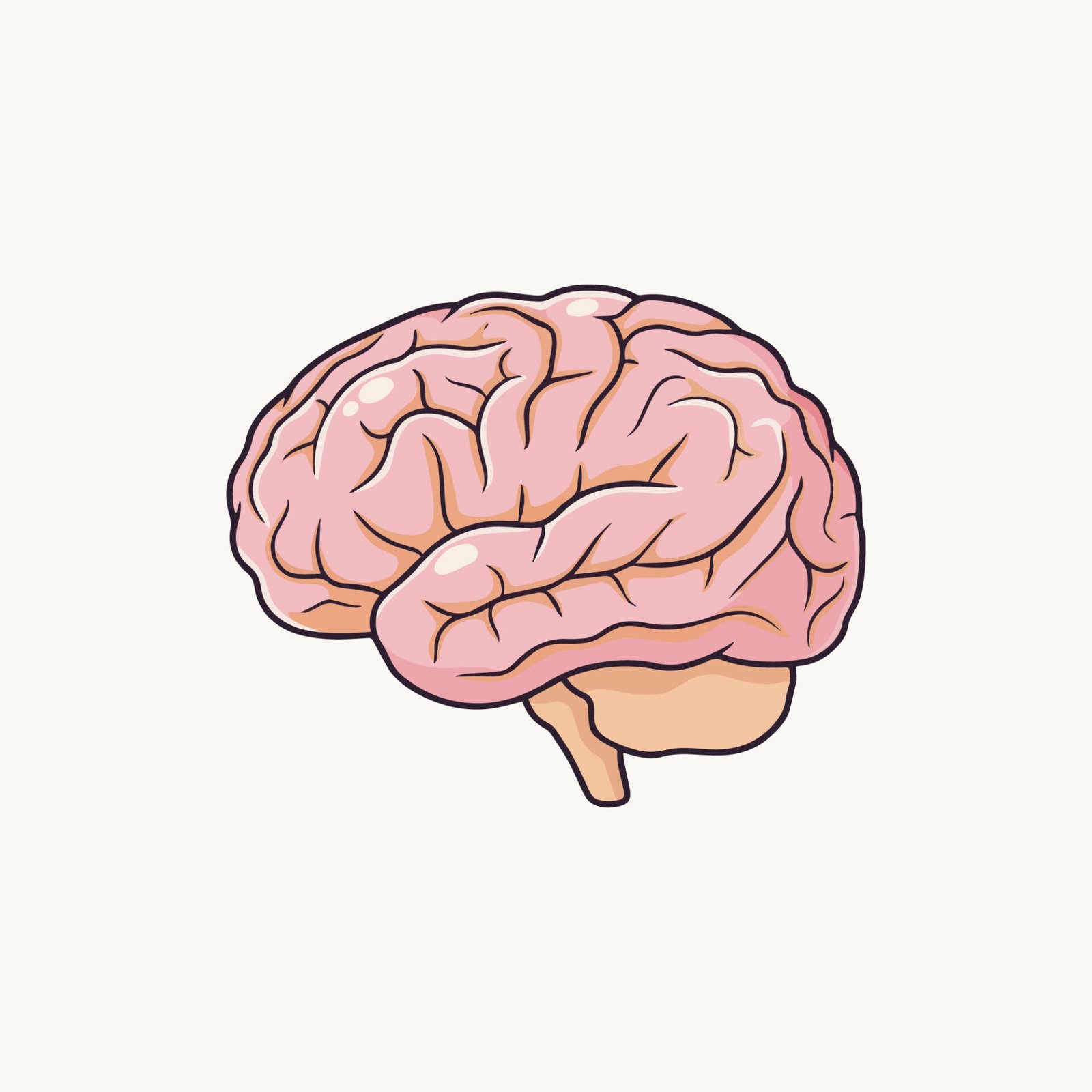 stylized-human-brain-vector-illustration-isolated-on-white-background