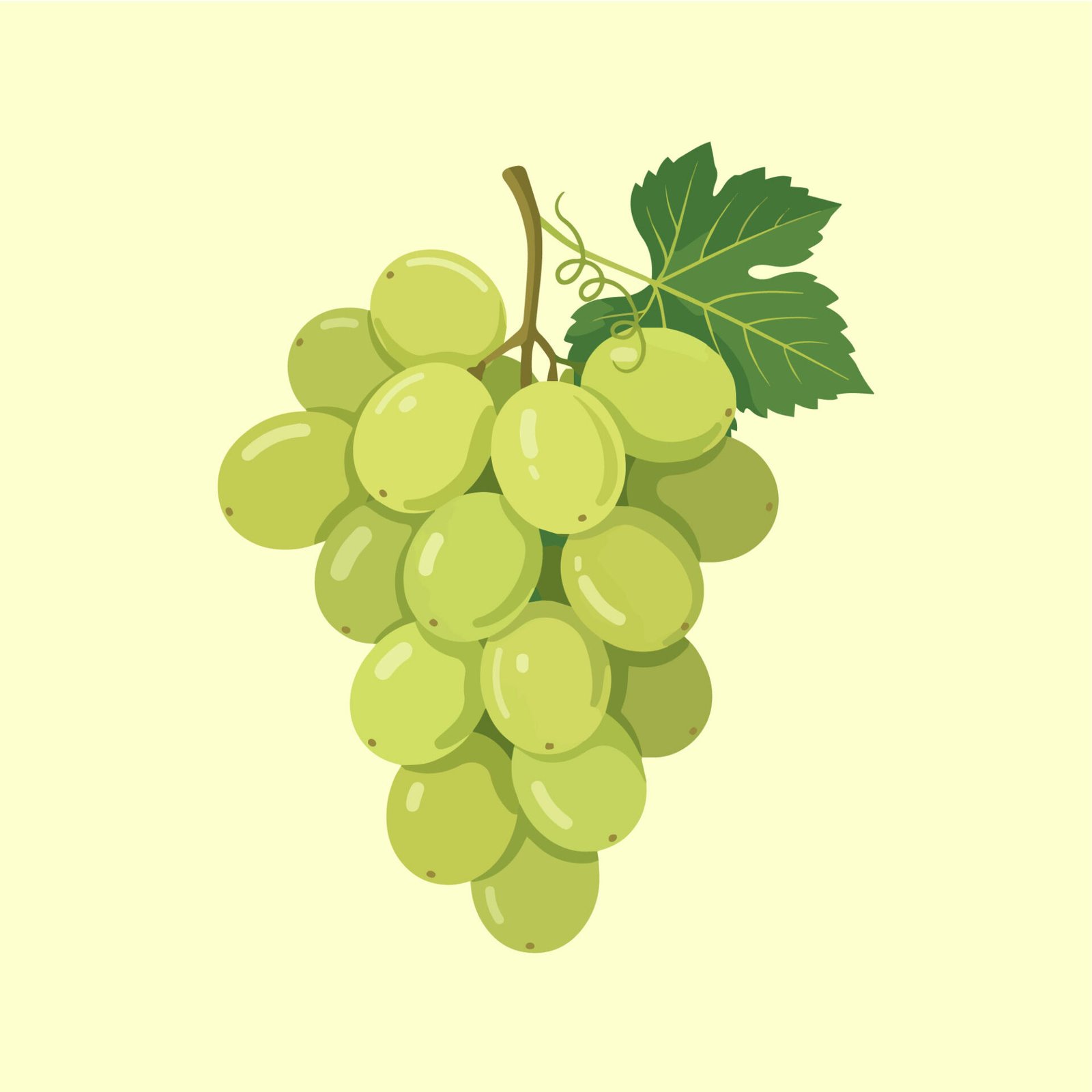 fresh-green-grapes-bunch-vector-illustration