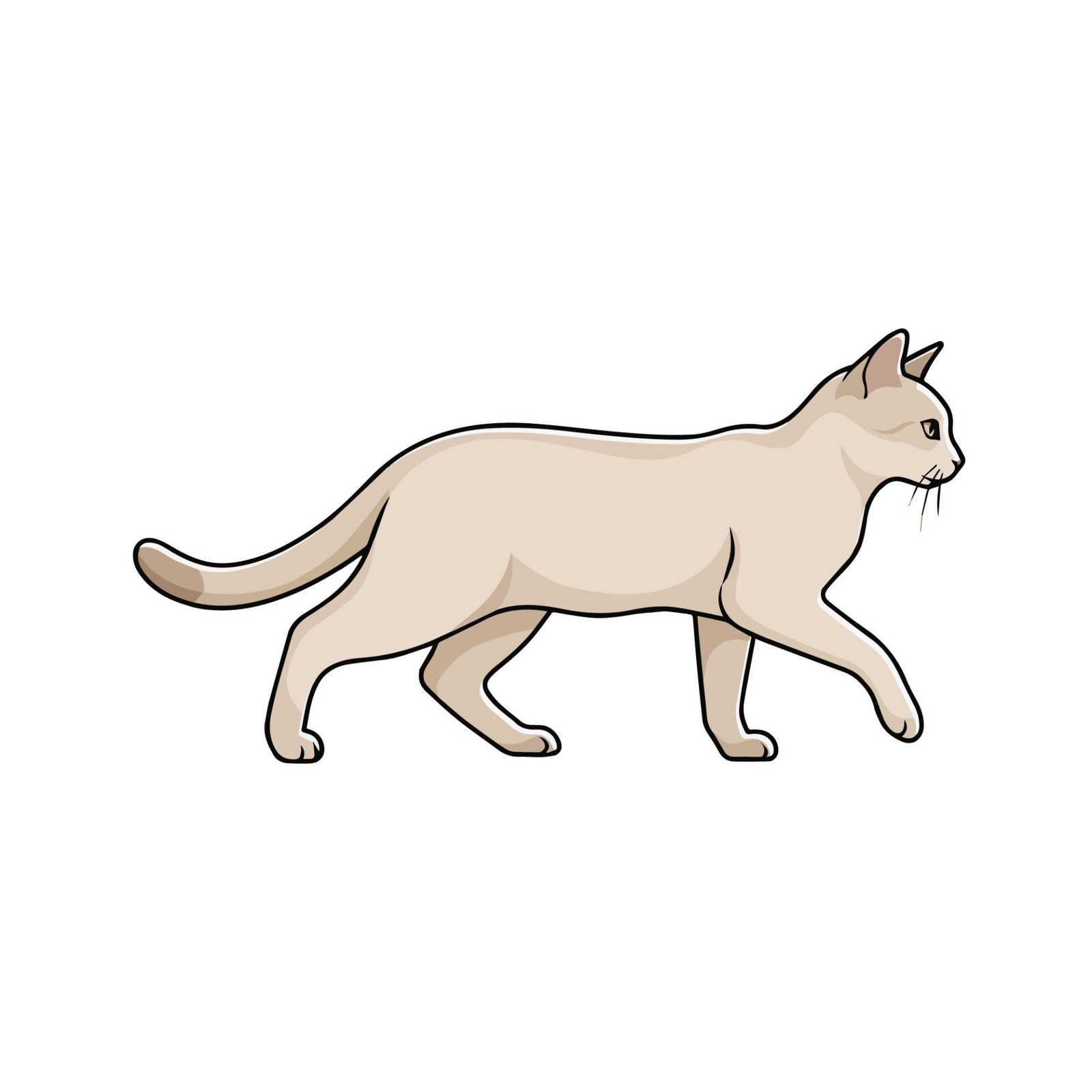 elegant-walking-cat-vector-illustration-cartoon-feline-side-profile