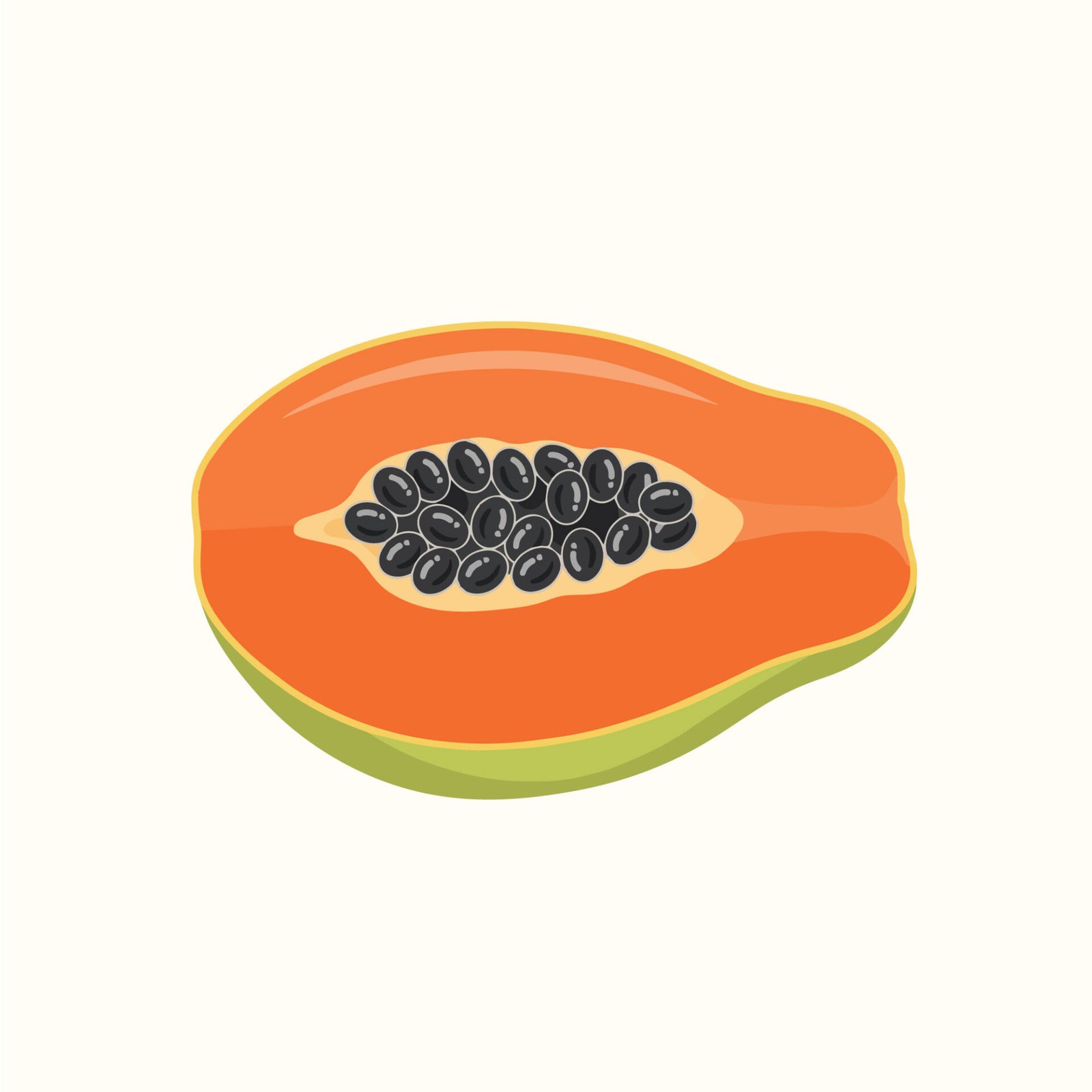 fresh-cut-papaya-fruit-vector-illustration