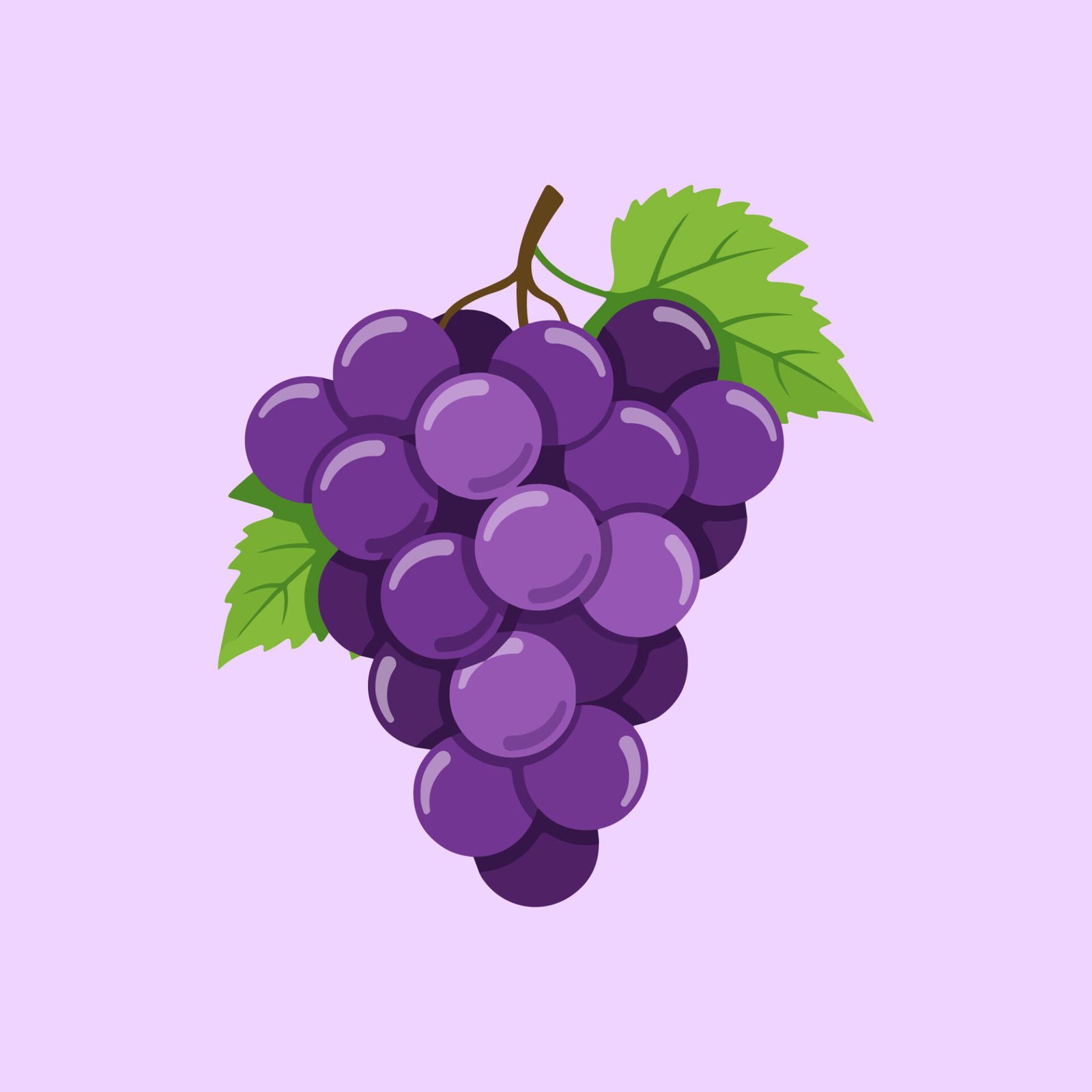 fresh-purple-grapes-bunch-vector-illustration