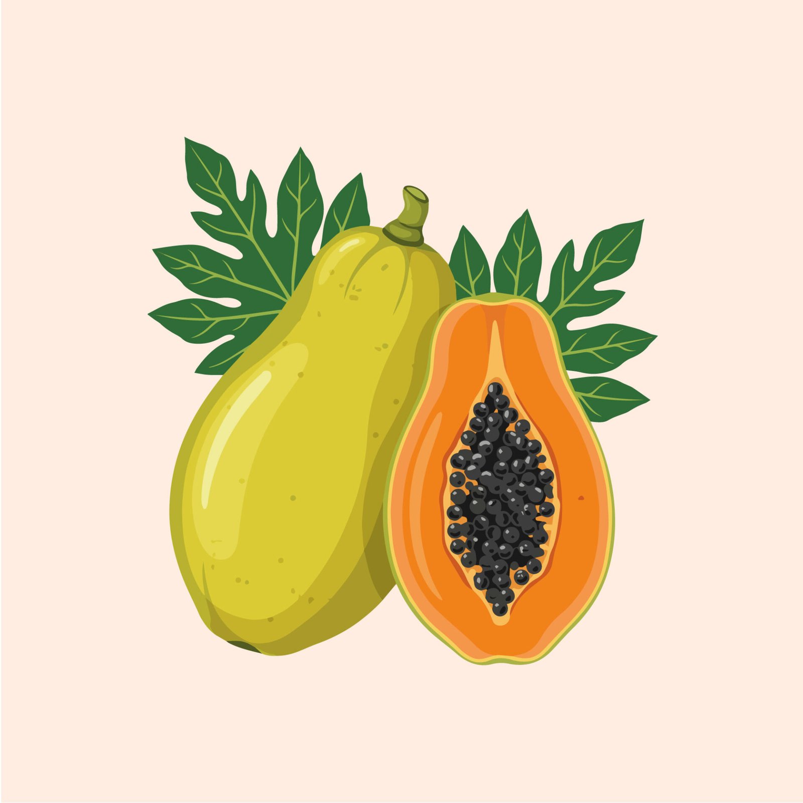 fresh-papaya-fruit-with-slice-and-leaves-vector-illustration