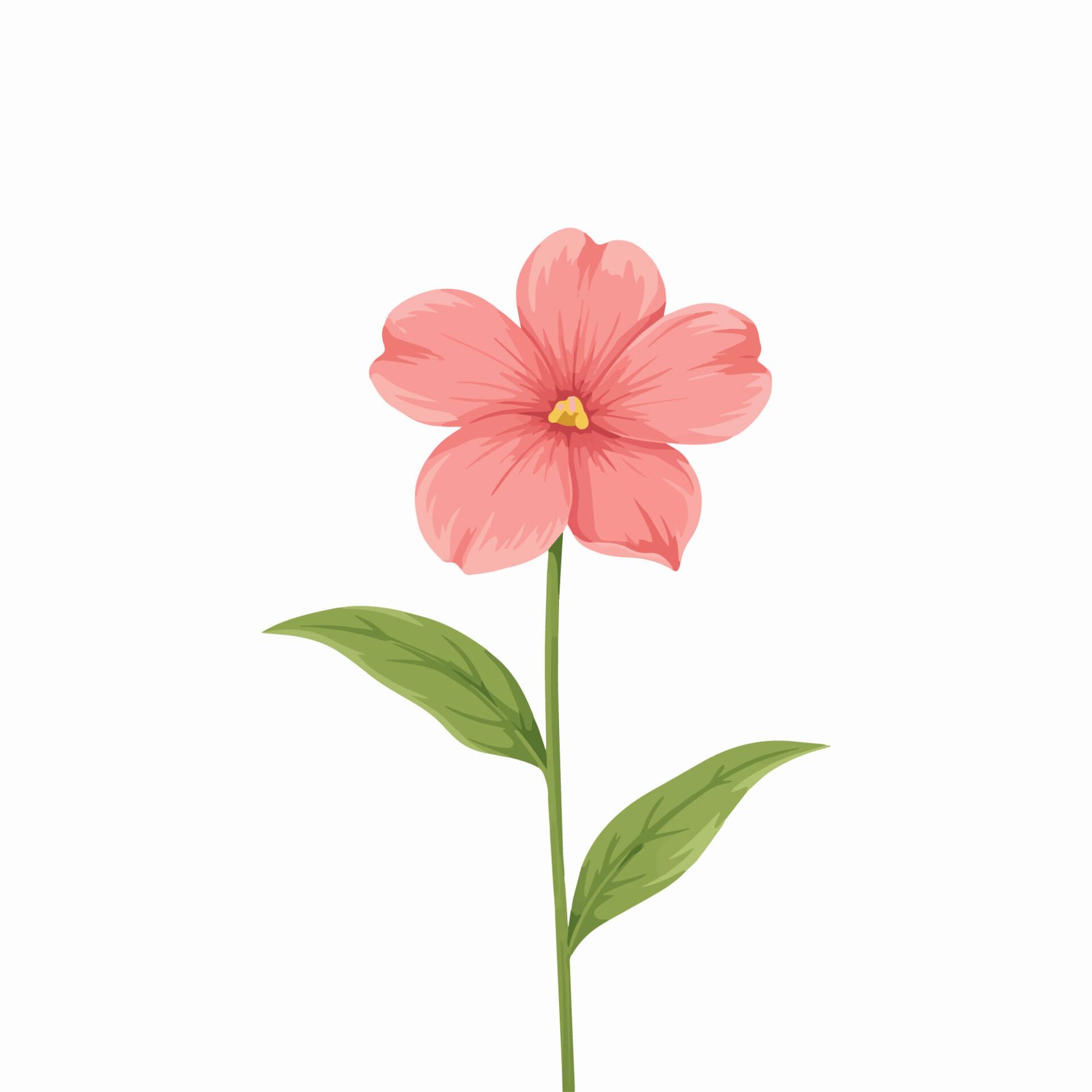 coral-pink-flower-stem-vector-illustration