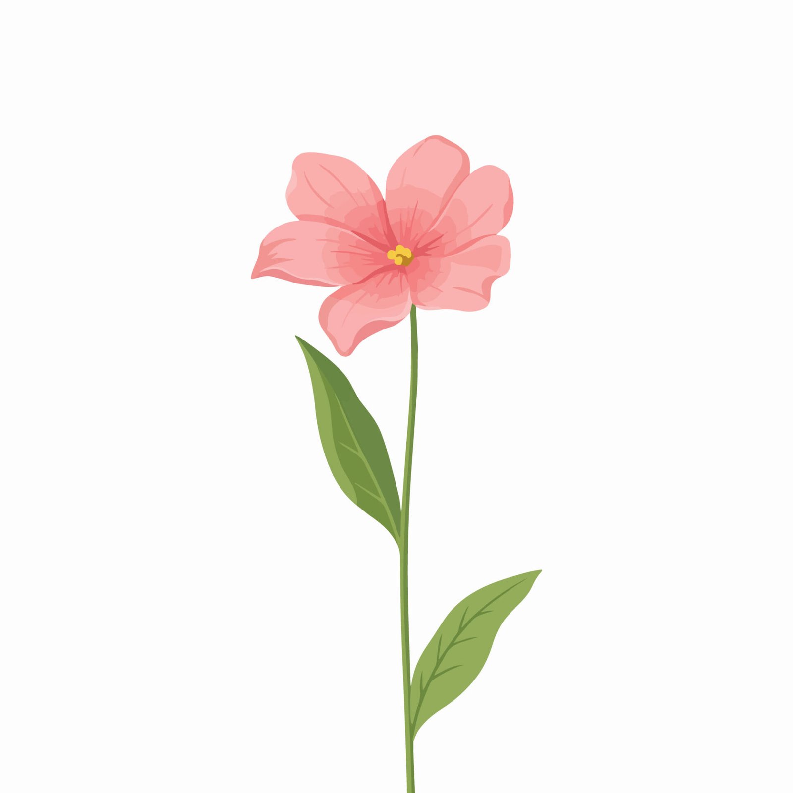pink-evening-primrose-stem-vector-illustration