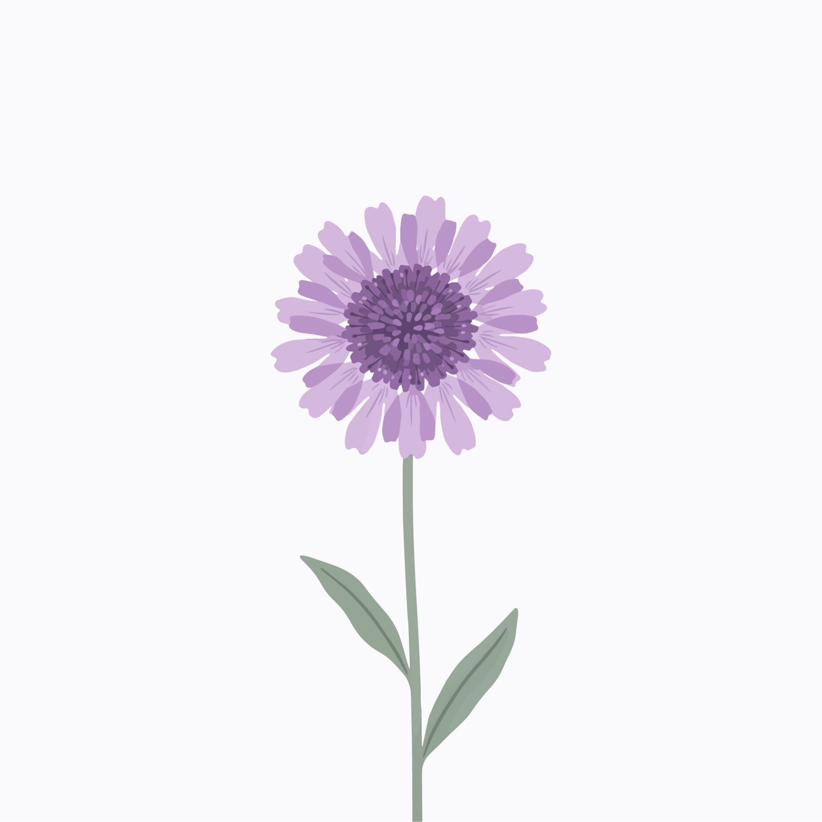 lavender-cornflower-stem-vector-illustration